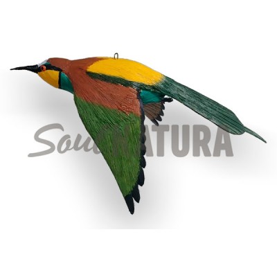 ABEJARUCO EN VUELO (PÁJARO DE PITA) - Imagen 3