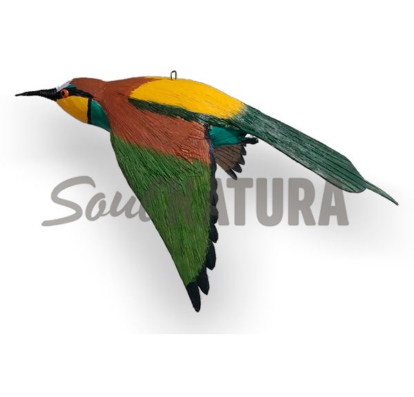 ABEJARUCO EN VUELO (PÁJARO DE PITA) - Imagen 3