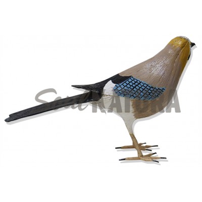 ARRENDAJO (PÁJARO DE PITA) - Imagen 3