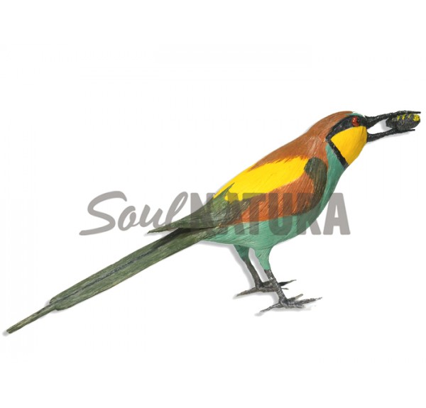 ABEJARUCO CON ABEJA - Imagen 2