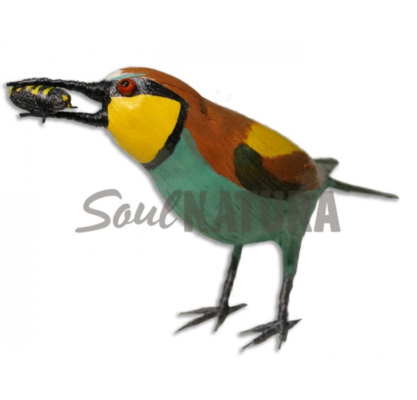 ABEJARUCO CON ABEJA - Imagen 3