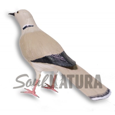 TÓRTOLA TURCA (Streptopelia decaocto) - Imagen 1
