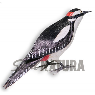 PICO PICAPINOS (Dendrocopos maior) Pájaro de PITA - Imagen 2