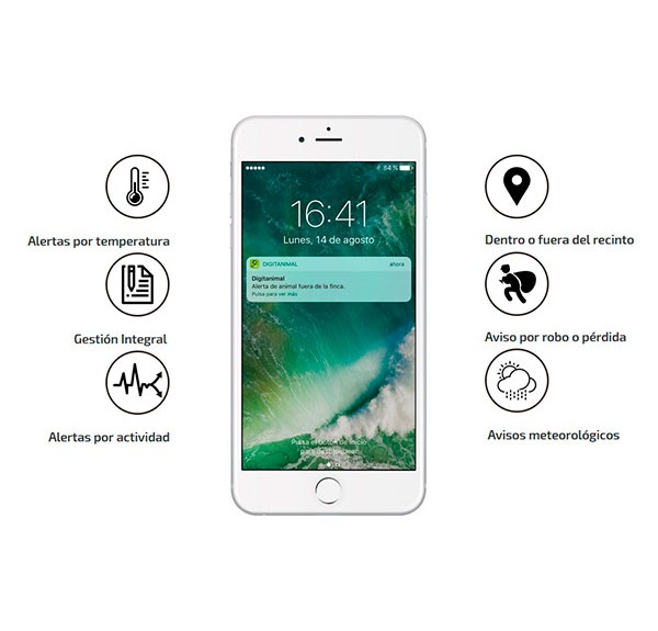 Localizador GPS fauna salvaje - Imagen 2