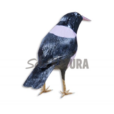 ESTORNINO ROSADO - Imagen 1