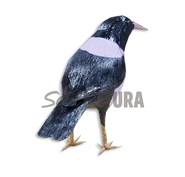 ESTORNINO ROSADO - Imagen 1