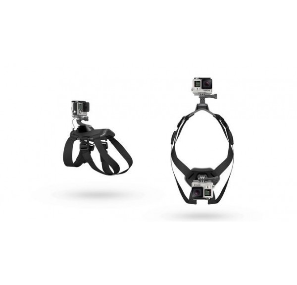 ▷ ARNÉS PARA PERROS. FETCH | Soul Natura - Imagen 2