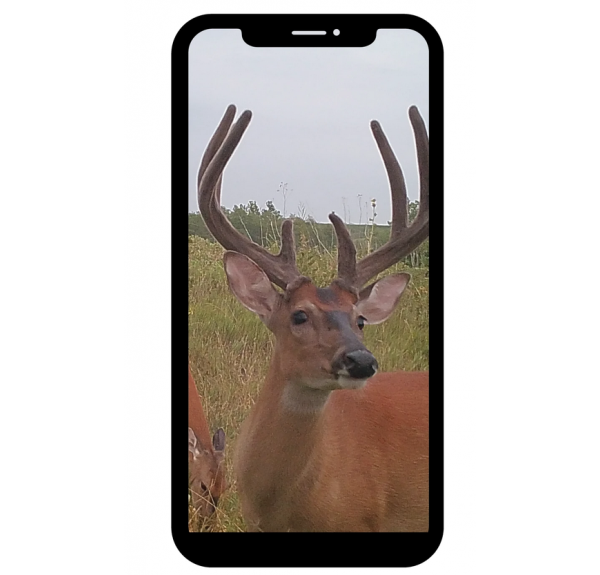 BROWNING DEFENDER WIRELESS 4G - Imagen 1