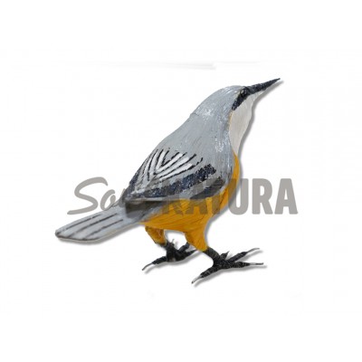 TREPADOR AZUL - Imagen 1