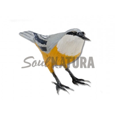 TREPADOR AZUL - Imagen 3