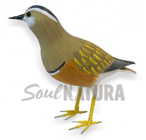 ▷ CHORLITO CARAMBOLO (Charadrius morinellus) Pájaro de PITA | Soul Natura - Imagen 2