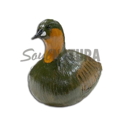 ▷ ZAMPULLÍN CHICO PLUMAJE VERANO (PÁJARO DE PITA) | Soul Natura - Imagen 1