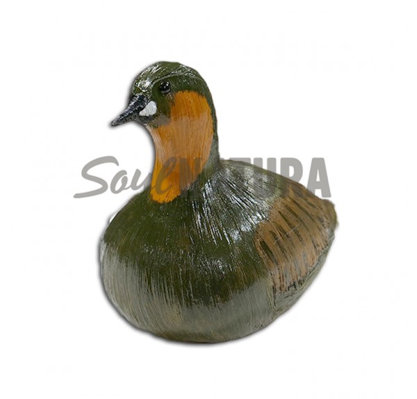 ▷ ZAMPULLÍN CHICO PLUMAJE VERANO (PÁJARO DE PITA) | Soul Natura - Imagen 1