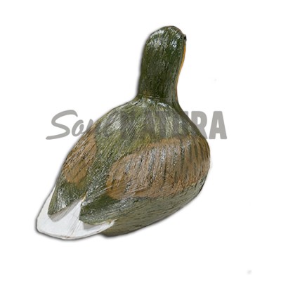 ▷ ZAMPULLÍN CHICO PLUMAJE VERANO (PÁJARO DE PITA) | Soul Natura - Imagen 2