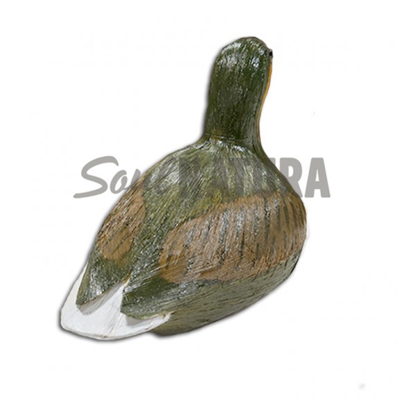 ▷ ZAMPULLÍN CHICO PLUMAJE VERANO (PÁJARO DE PITA) | Soul Natura - Imagen 2