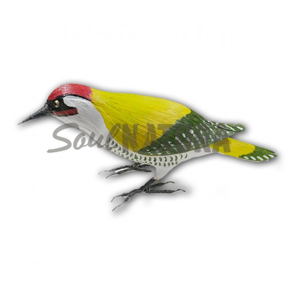 ▷ PITO REAL (Picus viridis) Pájaro de PITA | Soul Natura - Imagen 3