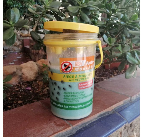 ▷ TRAMPA PARA MOSCAS MOSCATRAP | Soul Natura - Imagen 2