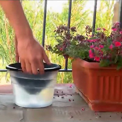 ▷ TRAMPA PARA LARVAS DE MOSQUITO AQUALAB | Soul Natura - Imagen 2