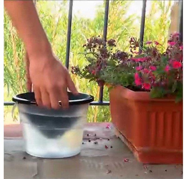 ▷ TRAMPA PARA LARVAS DE MOSQUITO AQUALAB | Soul Natura - Imagen 2