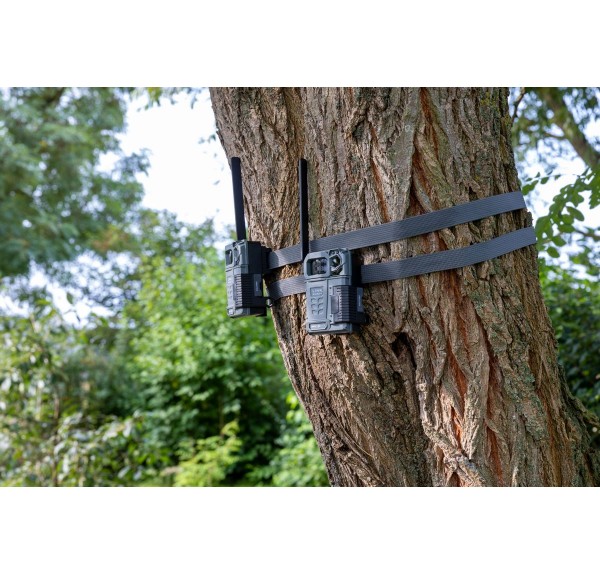 ▷ PACK 2und LINK MICRO LM2 LTE SPYPOINT | Soul Natura - Imagen 8