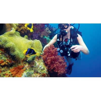 ▷ CARCASA DE BUCEO | Soul Natura - Imagen 3