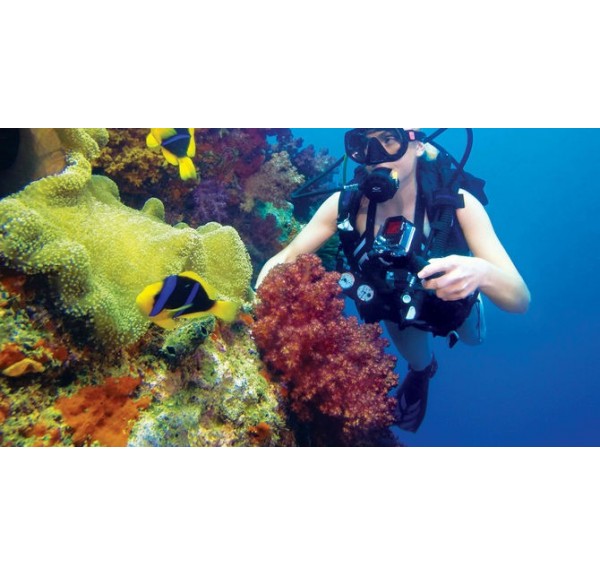 ▷ CARCASA DE BUCEO | Soul Natura - Imagen 3