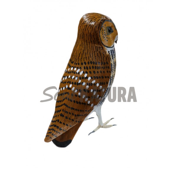 ▷ CÁRABO Pájaro de PITA | Soul Natura - Imagen 3