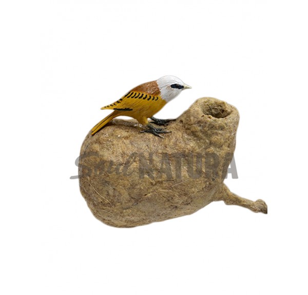 ▷ NIDO COLGANTE MOSCÓN (PITA) | Soul Natura - Imagen 3