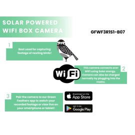 BIRD BOX CAMARA GREEN FEATHERS - Imagen 2