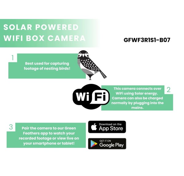 BIRD BOX CAMARA GREEN FEATHERS - Imagen 1