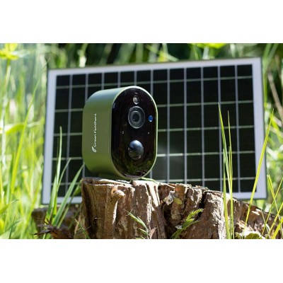 BIRD BOX CAMARA GREEN FEATHERS - Imagen 3