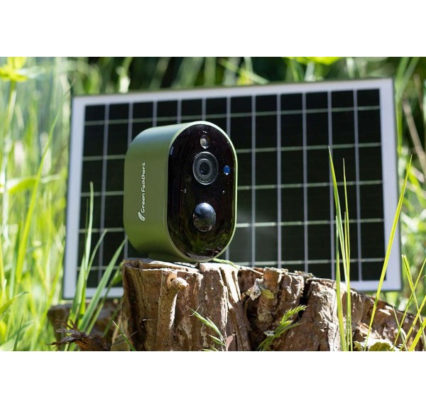 BIRD BOX CAMARA GREEN FEATHERS - Imagen 3