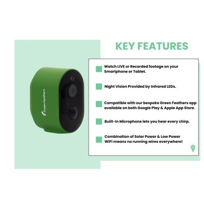 BIRD BOX CAMARA GREEN FEATHERS - Imagen 4