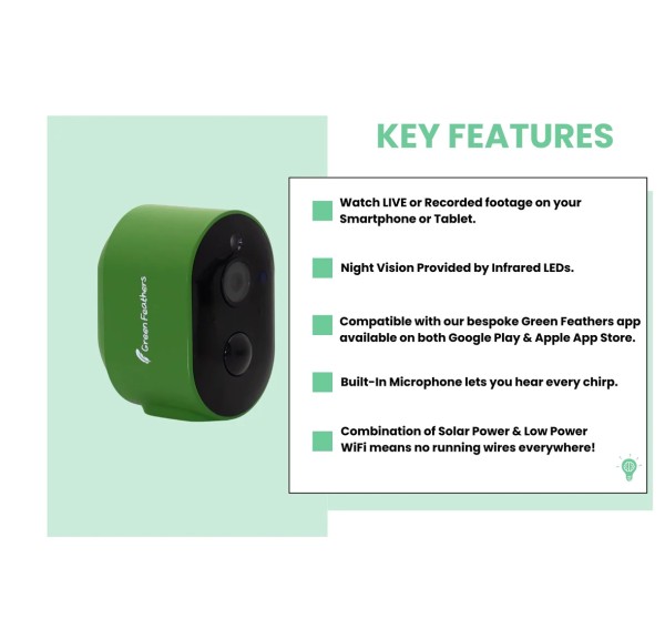 BIRD BOX CAMARA GREEN FEATHERS - Imagen 4