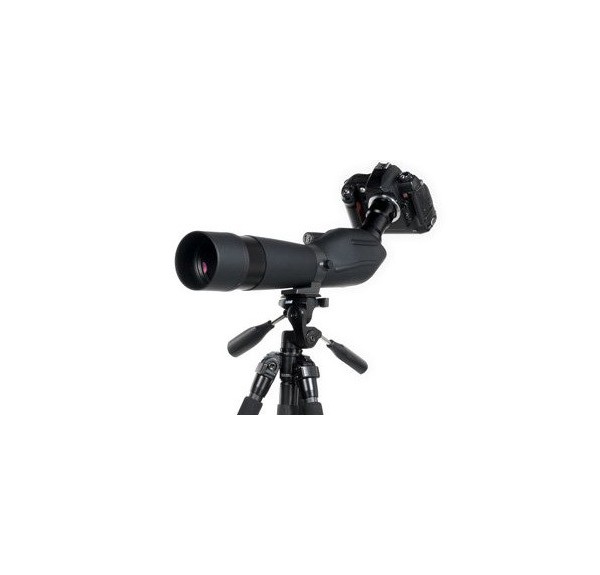 ▷ TITANIO TRÍPODE BUSHNELL | Soul Natura - Imagen 2