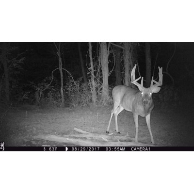 STRIKE FORCE X 1080P FULL HD BROWNING - Imagen 3