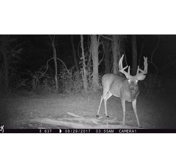 STRIKE FORCE X 1080P FULL HD BROWNING - Imagen 3