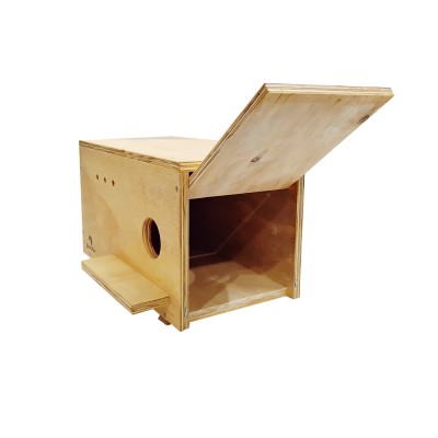 CAJA NIDO CERNÍCALO PRIMILLA EN MADERA TRATADA - Imagen 4