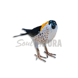 GOLONDRINA DÁURICA - Imagen 2