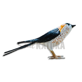 GOLONDRINA DÁURICA - Imagen 1