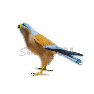 CERNÍCALO PRIMILLA Pájaro de PITA - Imagen 1