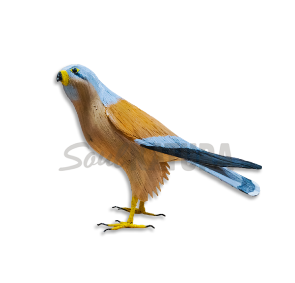 CERNÍCALO PRIMILLA Pájaro de PITA - Imagen 1