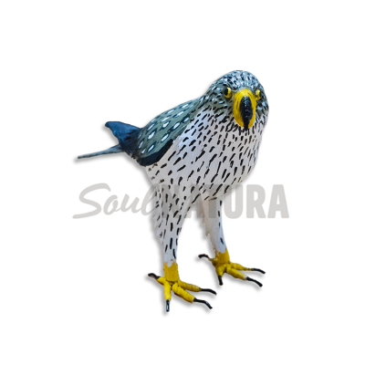 ▷ ÁGUILA PERDICERA PEQUEÑA (Aquila fasciata) Pájaro de PITA | Soul Natura - Imagen 3