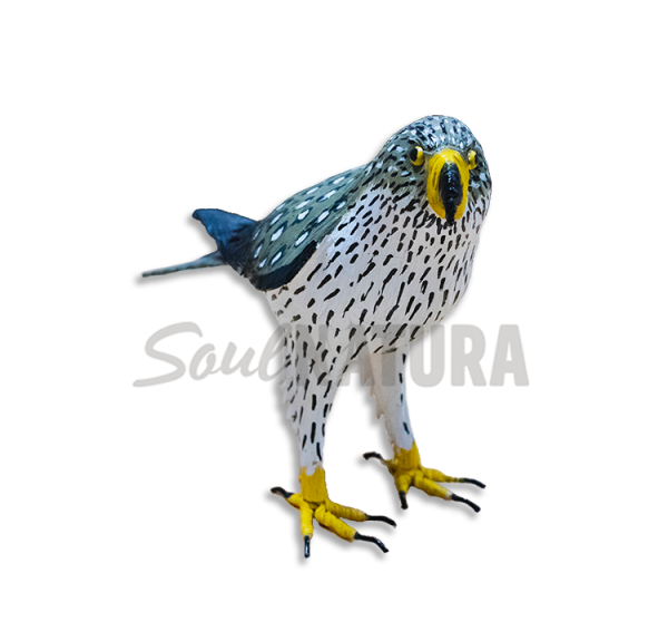 ▷ ÁGUILA PERDICERA PEQUEÑA (Aquila fasciata) Pájaro de PITA | Soul Natura - Imagen 3