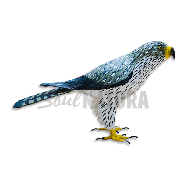 ▷ ÁGUILA PERDICERA PEQUEÑA (Aquila fasciata) Pájaro de PITA | Soul Natura - Imagen 4