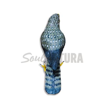 ▷ ÁGUILA PERDICERA PEQUEÑA (Aquila fasciata) Pájaro de PITA | Soul Natura - Imagen 5