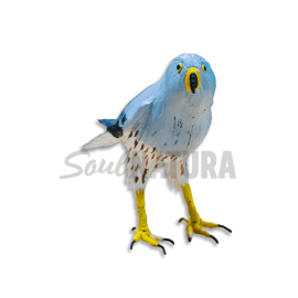 ▷ AGUILUCHO CENIZO PEQUEÑO Pájaro de PITA | Soul Natura - Imagen 1