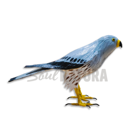 ▷ AGUILUCHO CENIZO PEQUEÑO Pájaro de PITA | Soul Natura - Imagen 2