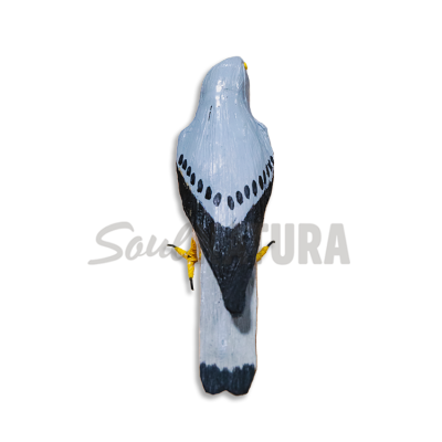 ▷ AGUILUCHO CENIZO PEQUEÑO Pájaro de PITA | Soul Natura - Imagen 3