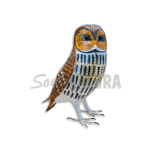 BÚHO-LECHUZA CAMPESTRE Pájaro de PITA - Imagen 1